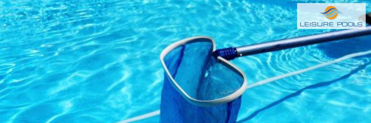 Brosse pour paroi de piscine 26 cm Marina